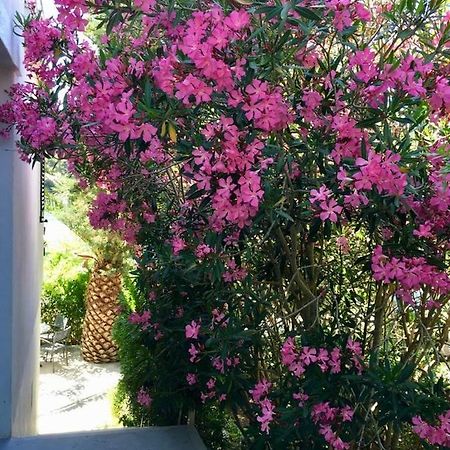 Apartment Lavanda مولات المظهر الخارجي الصورة