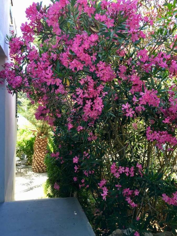 Apartment Lavanda مولات المظهر الخارجي الصورة